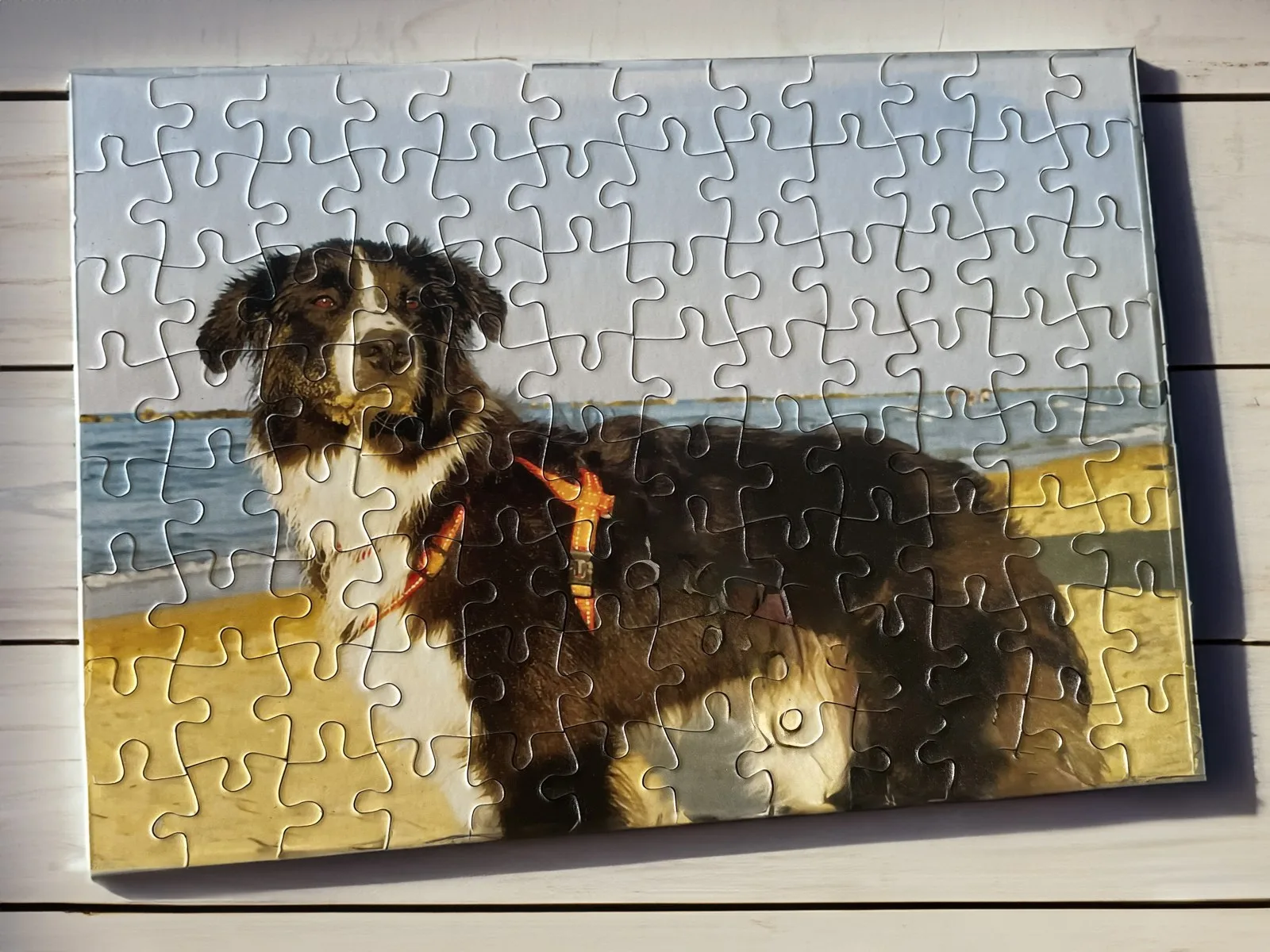 Puzzle personalizzato con la foto di un cane in spiaggia