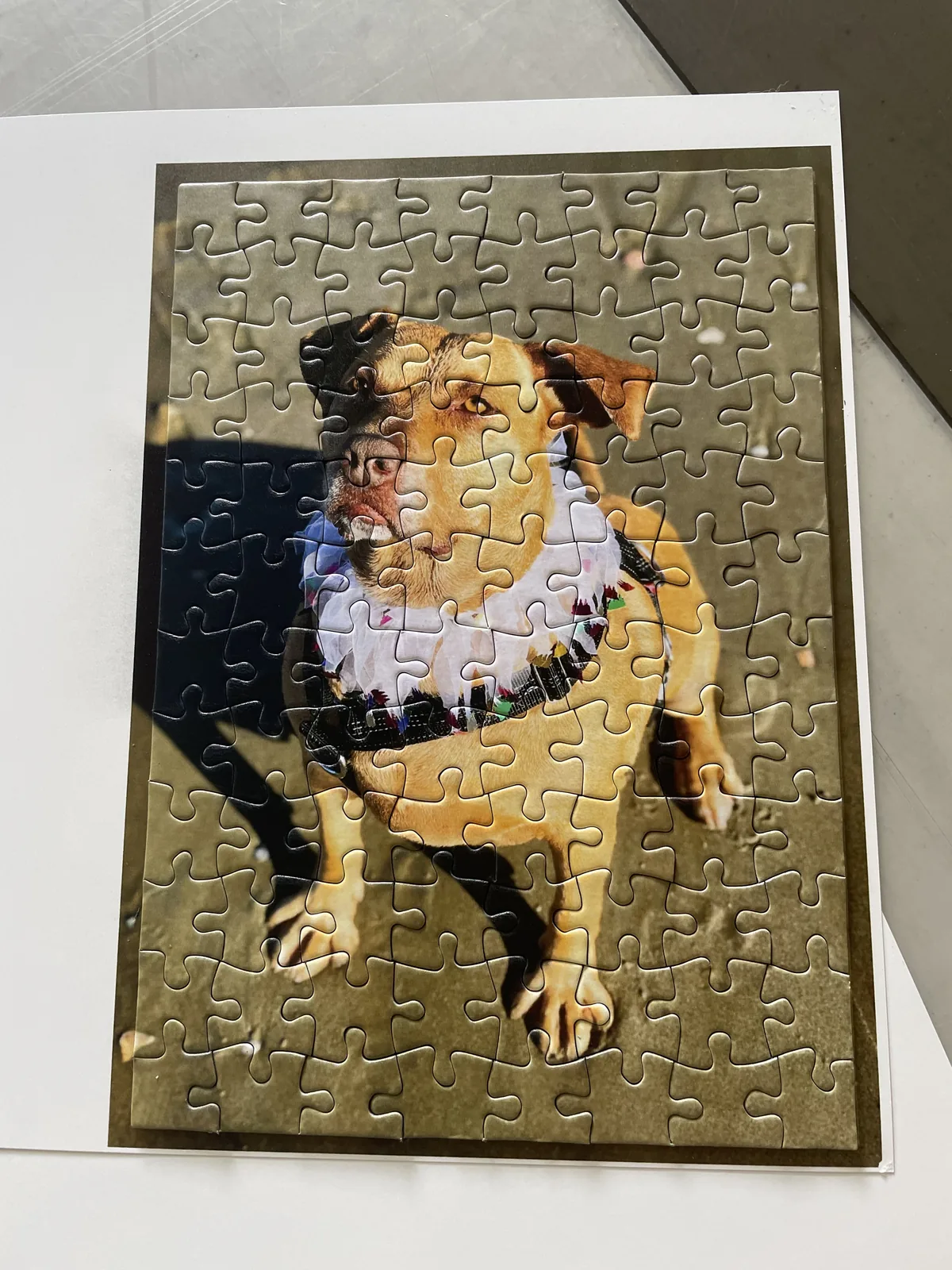 Puzzle personalizzato con la foto di un cane