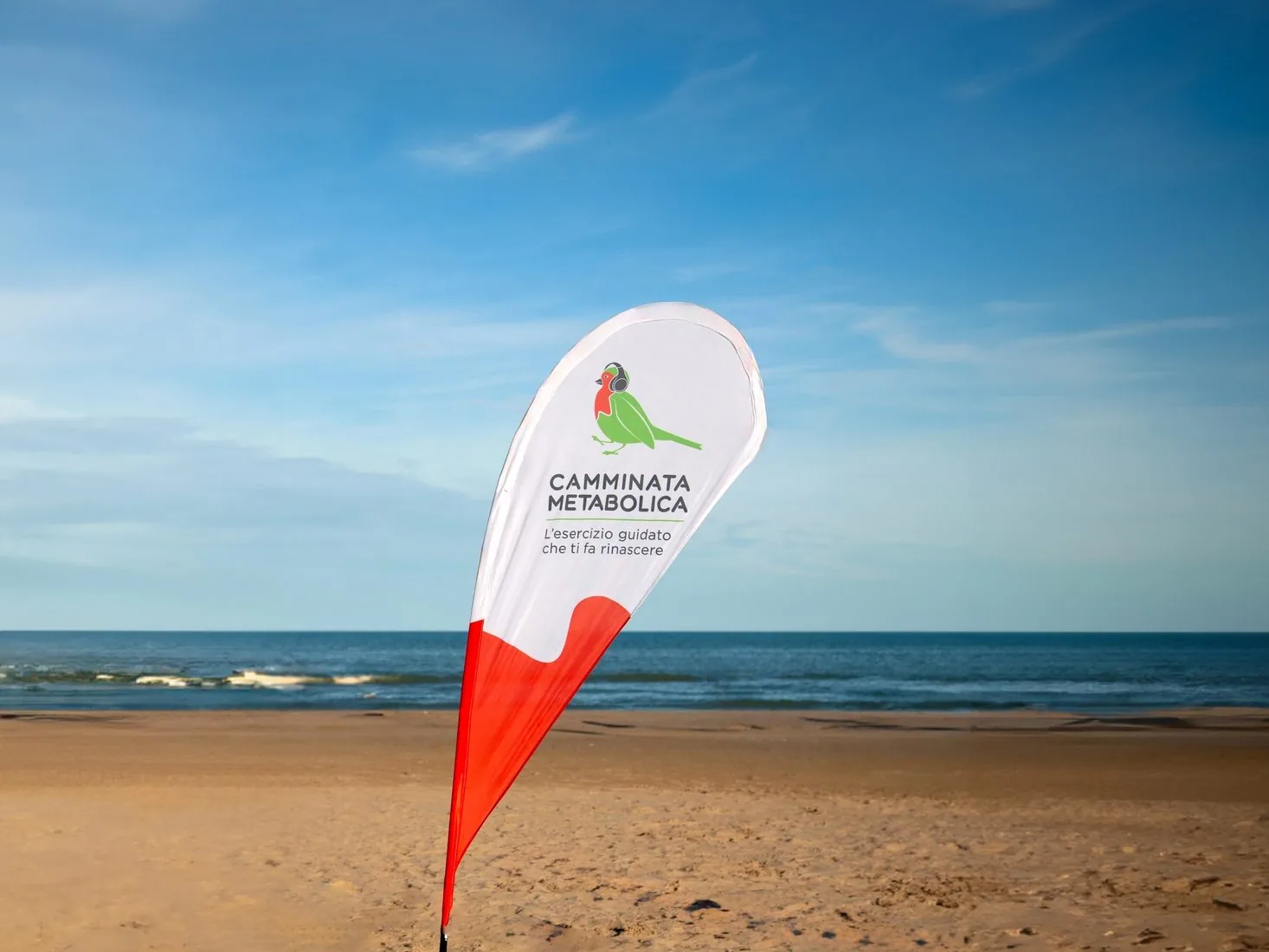Beach flag a goccia Camminata Metabolica piantata nella sabbia, con il mare sullo sfondo