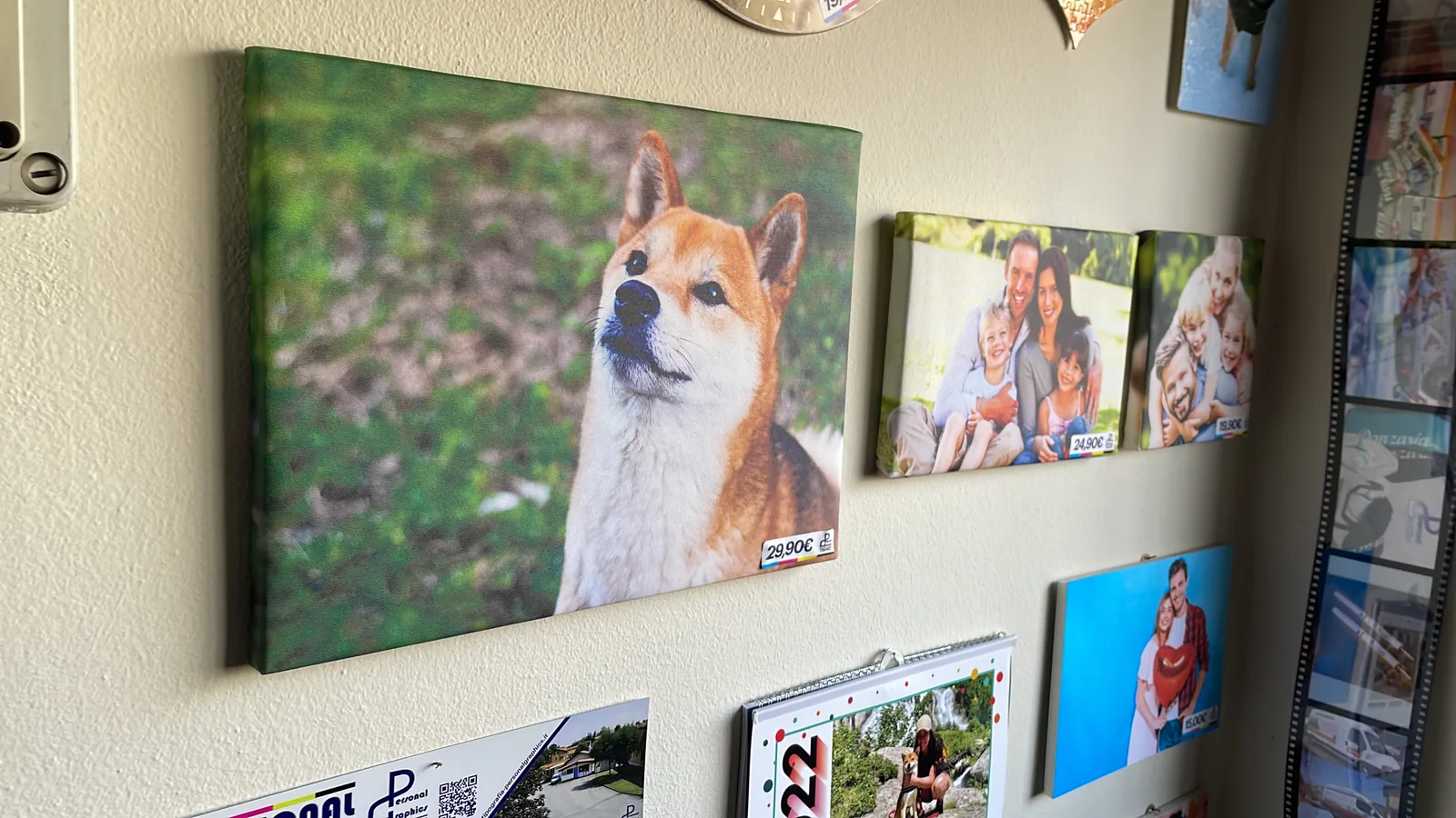 Quadri su tela appesi in showroom, con il ritratto di un cane shiba in primo piano