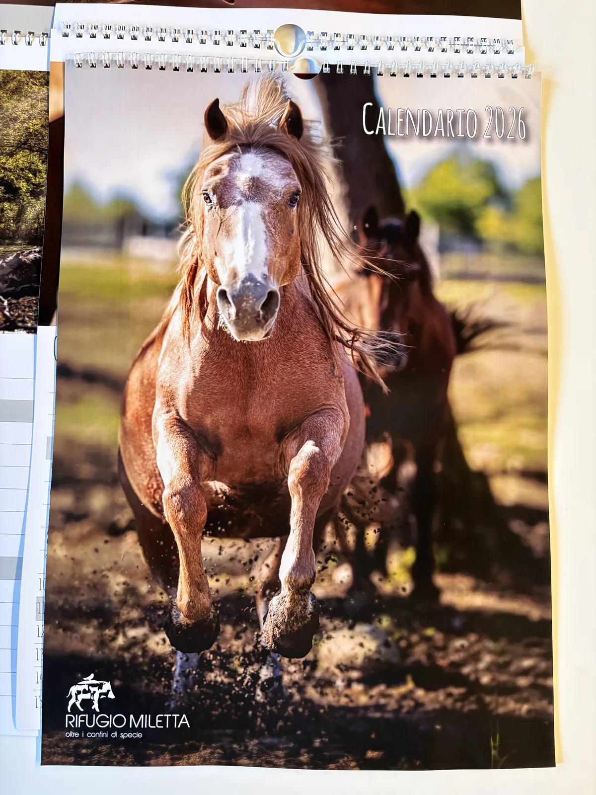 Calendario da parete 2026 Rifugio Miletta con copertina fotografica