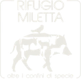Rifugio Miletta