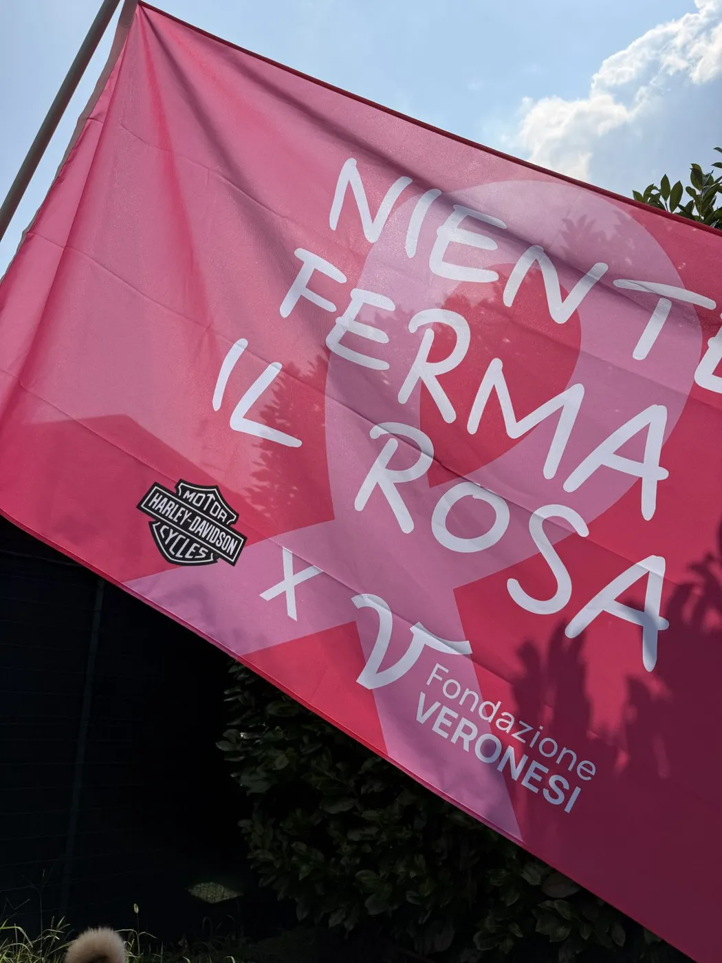 Bandiera rosa stampata in sublimazione al vento